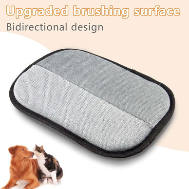 Reclaim Your Space, Embrace Pet Joy!